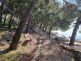 CROATIA - Apartments with a beautiful view - DRAGE, PAKOŠTANE