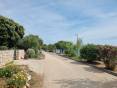 CROATIA - Apartments in the 1st row from the sea - MANDRE, island Pag