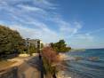CROATIA - Apartments in the 1st row (4i) - MANDRE, island PAG