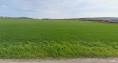 SALE - Industrieplot 133.667 m2-7 km from the factory Jaguar-Landrover