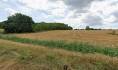 Sale Land – for living, Land – for living, Pod Hájom, Nitra, Slovakia