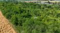 Land of 120.000 m2 and more  -10 km from Nitra, 20 km from Šurany