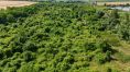 Land of 120.000 m2 and more  -10 km from Nitra, 20 km from Šurany