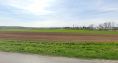 SALE - Industrieplot 133.667 m2-7 km from the factory Jaguar-Landrover