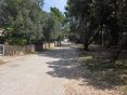 CROATIA - Apartments near the beach - ŠIMUNI, island PAG