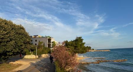 CROATIA - Apartments in the 1st row (3i) - MANDRE, island PAG